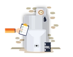 Oil